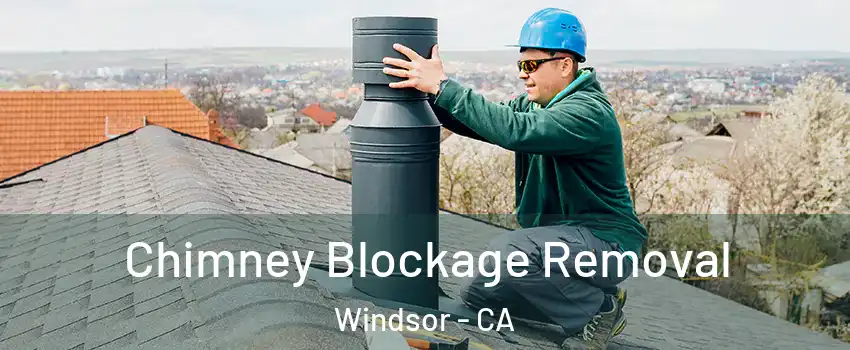  Chimney Blockage Removal Windsor - CA