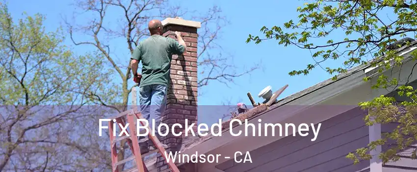  Fix Blocked Chimney Windsor - CA