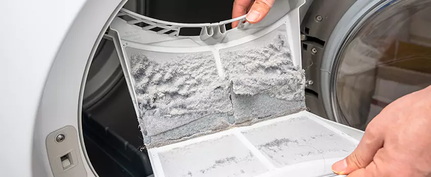 Best Dryer Lint Removal Company in Windsor, California