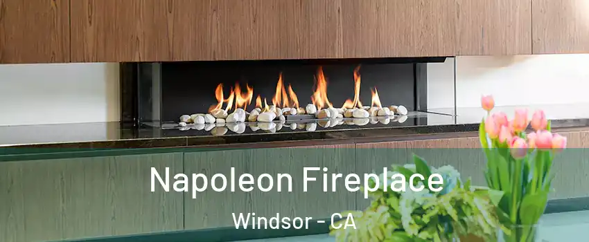  Napoleon Fireplace Windsor - CA